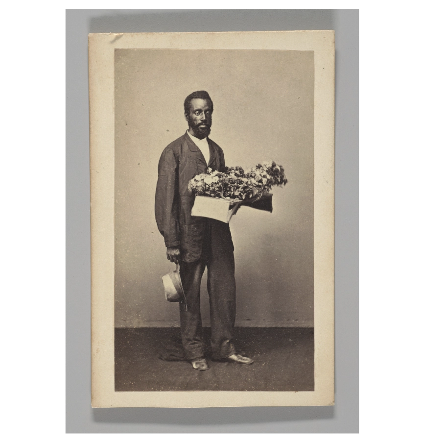 Christiano Junior image