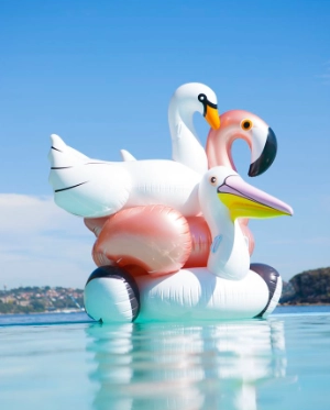 Flotadors en l'aigua