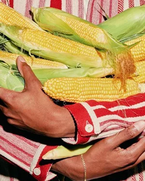 Detall d'una persona amb dacsa