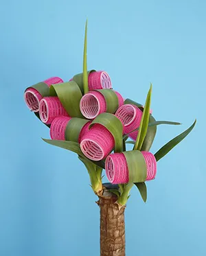 Accessori per als cabells